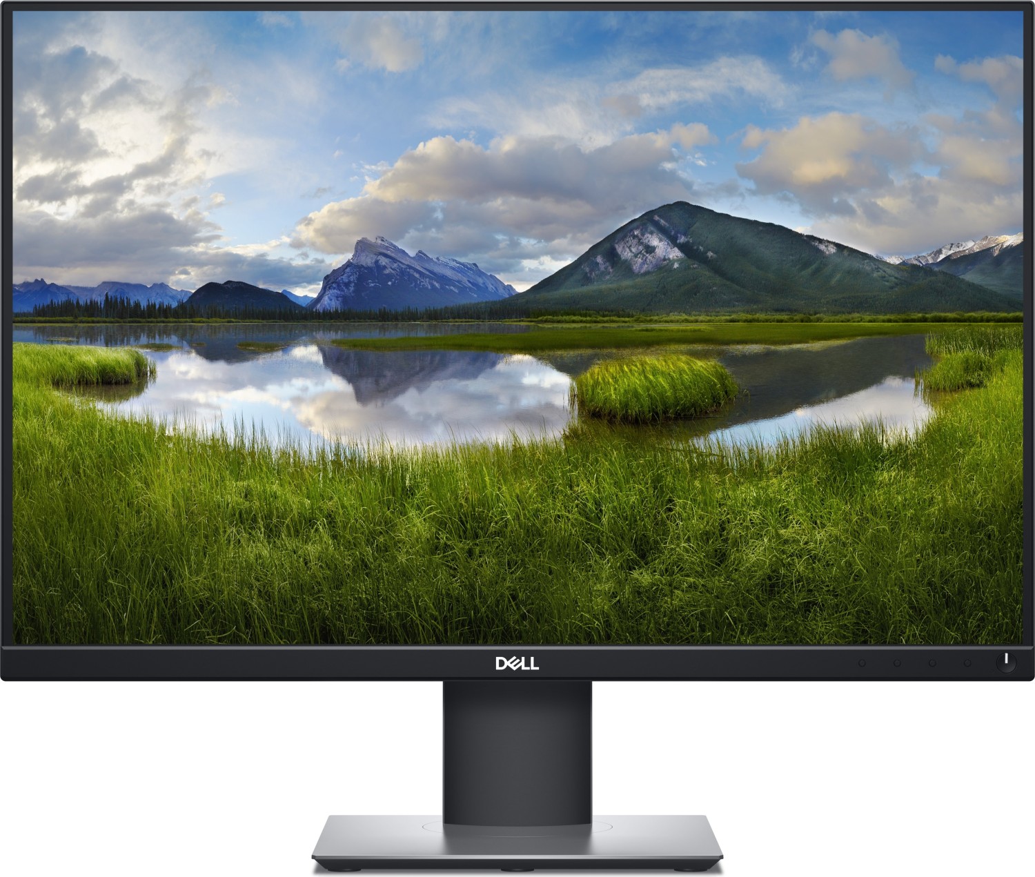 TFT Dell P2421 24,1" (61,13cm) 1920x1200 WUXGA - 300cd/m² IPS-Panel PIVOT Neigbar Höhenverstellung